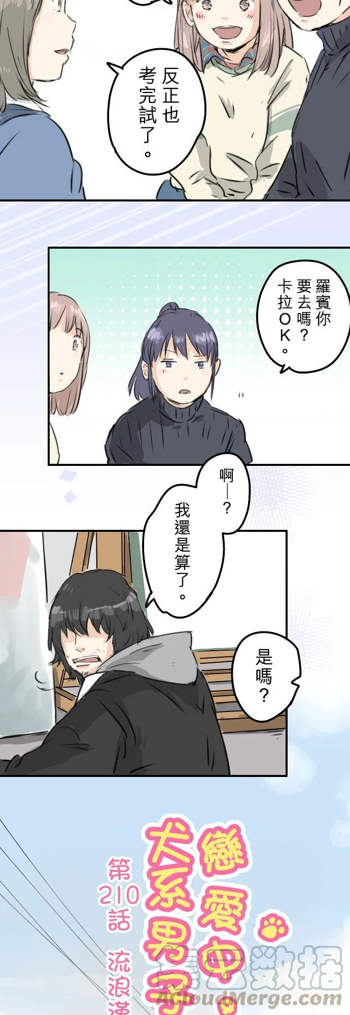 第6页