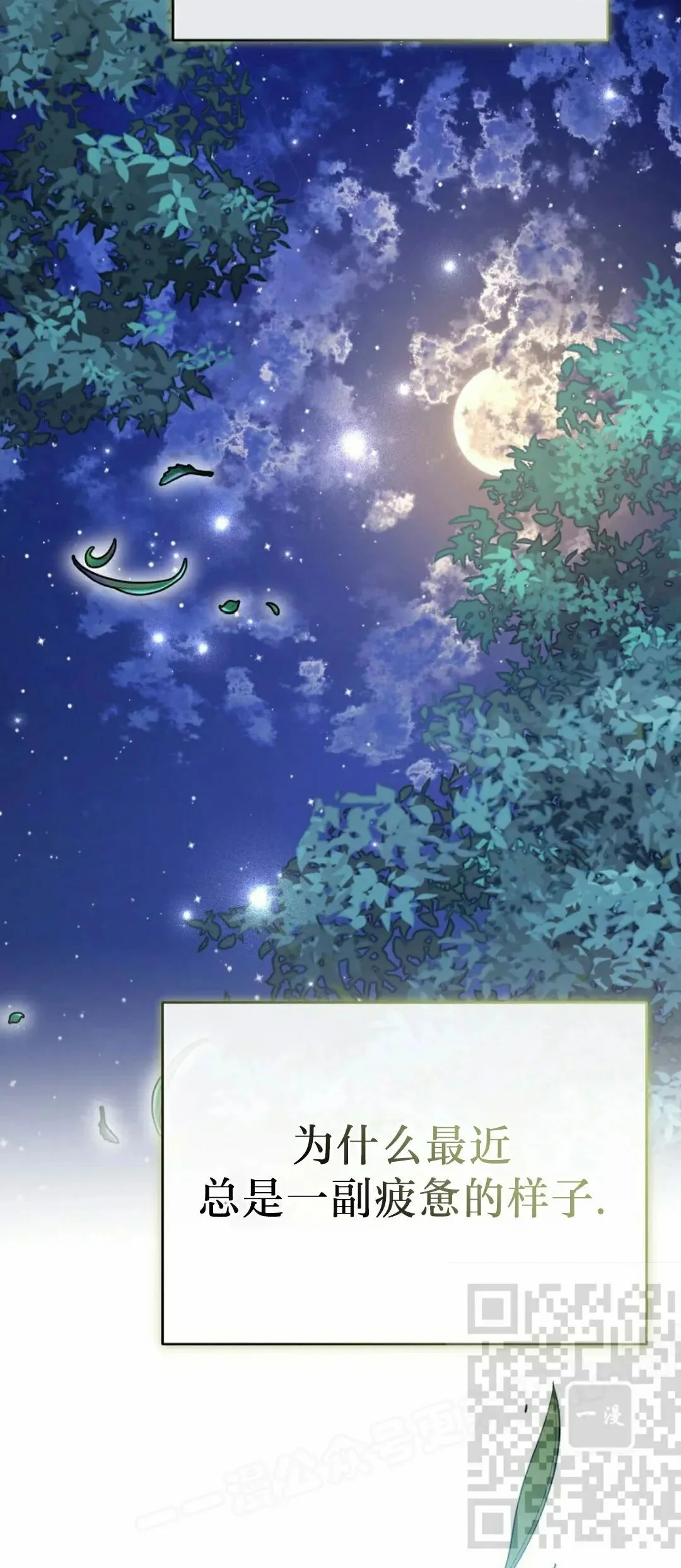 第246页
