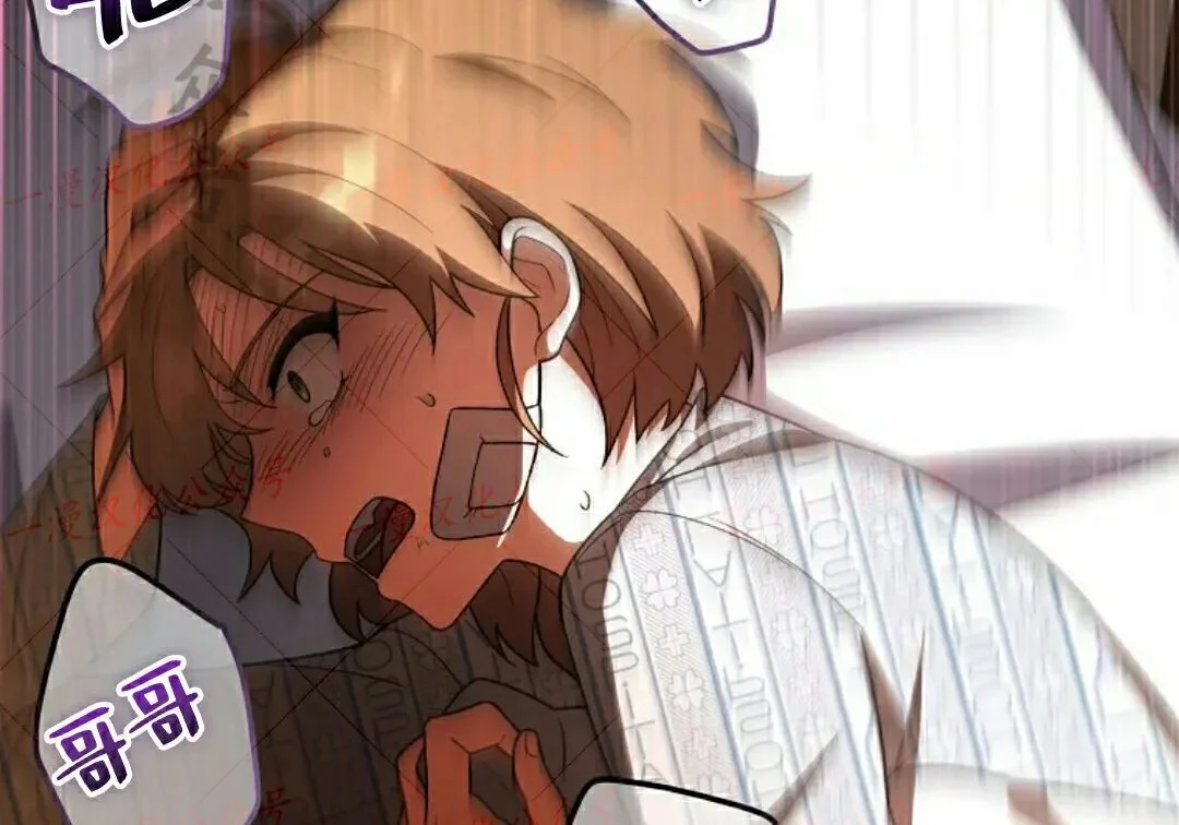 第453页