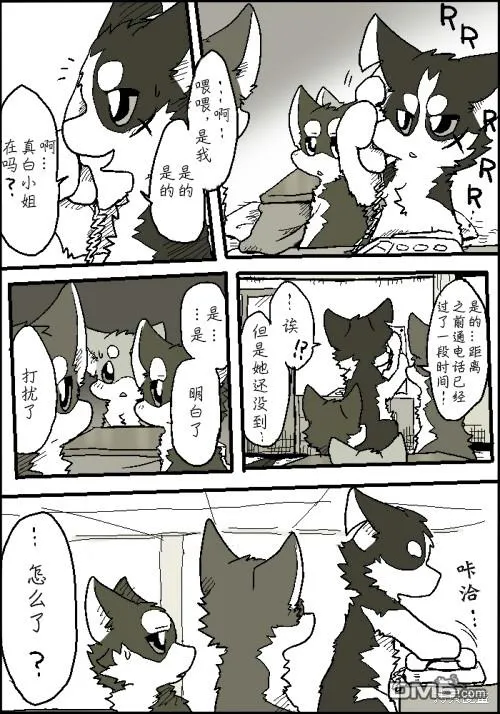 第54页