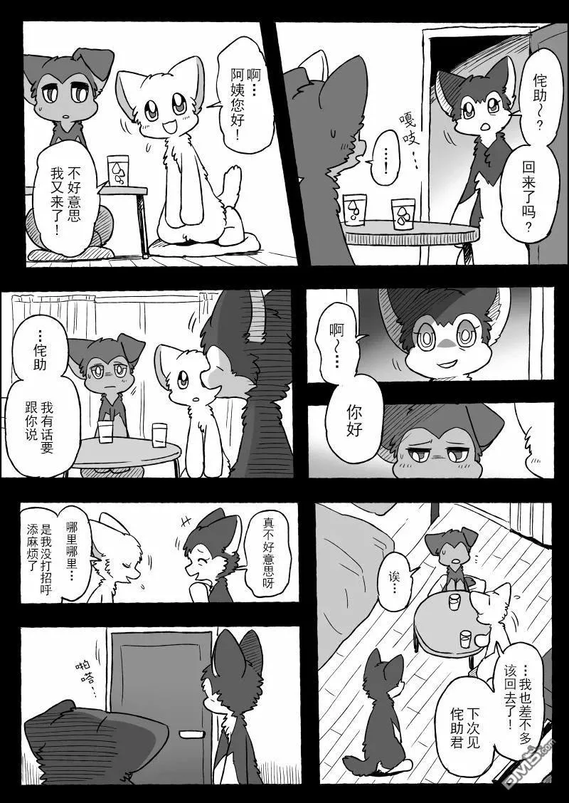 第51页