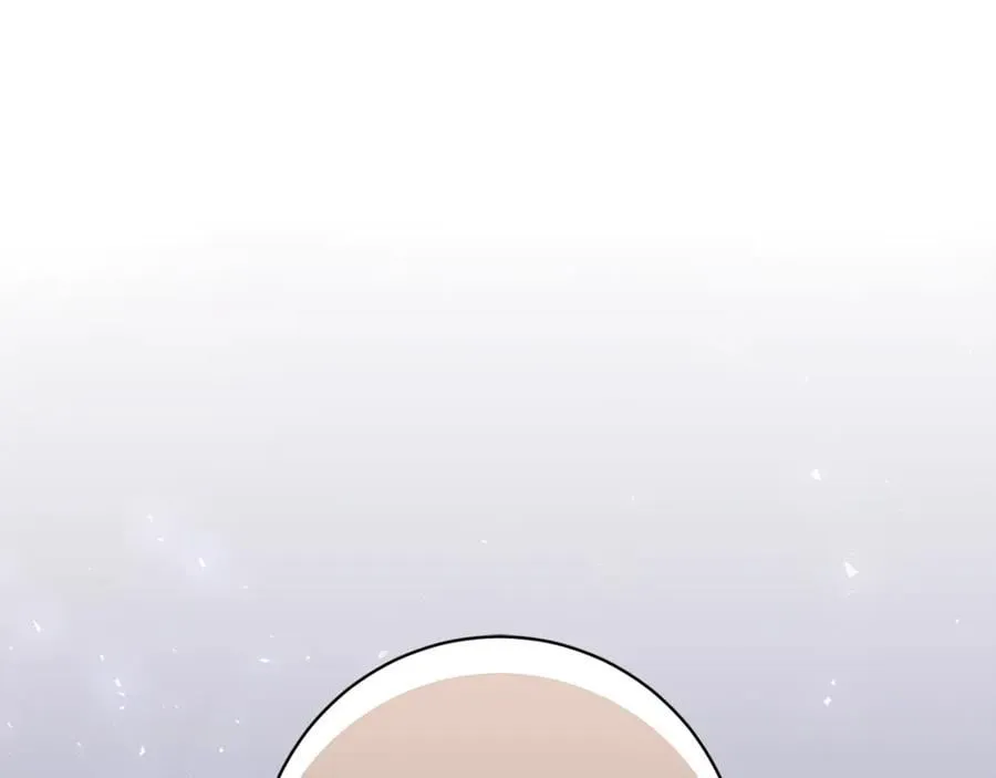 第333页