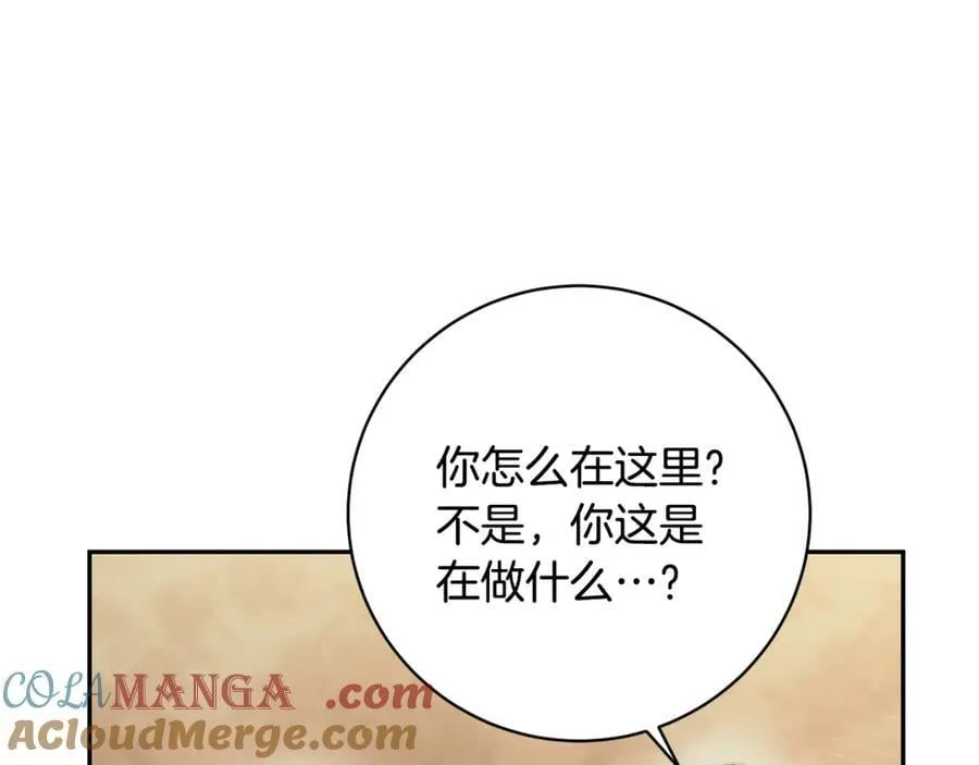 第240页