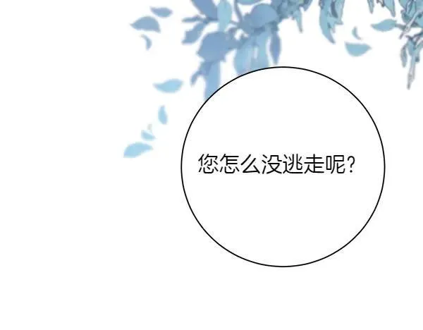 第336页