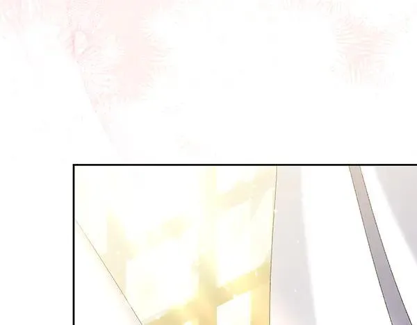 第558页