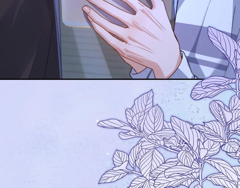 第216页