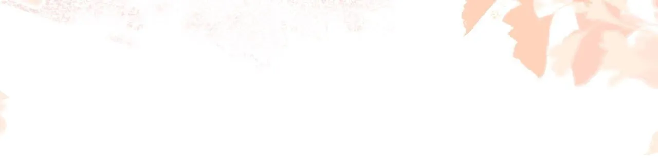 第291页