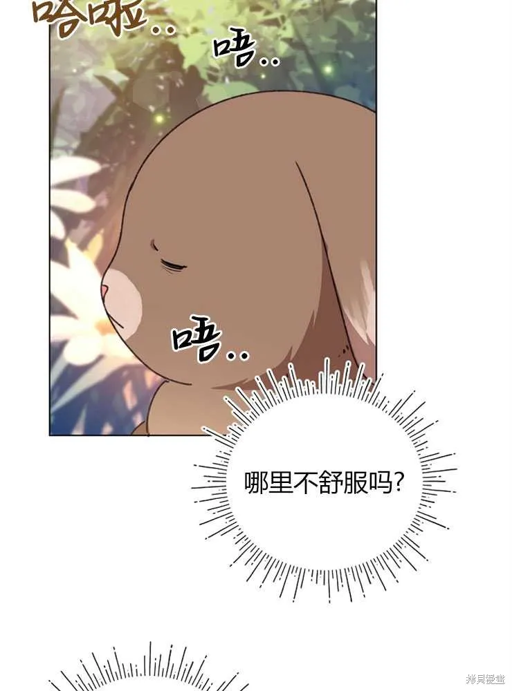 第213页