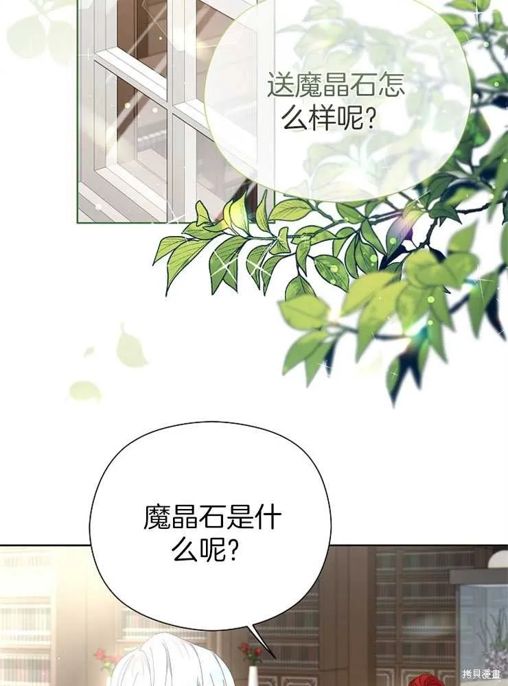 第219页