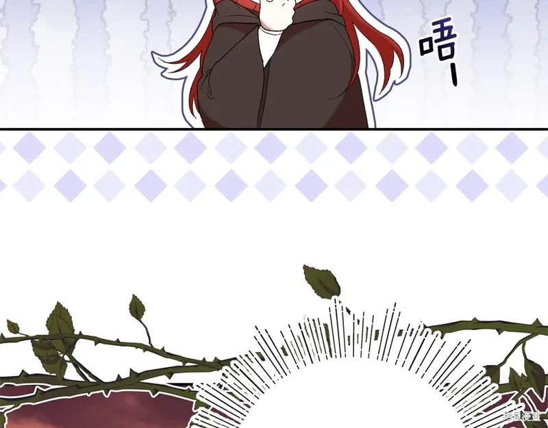 第336页