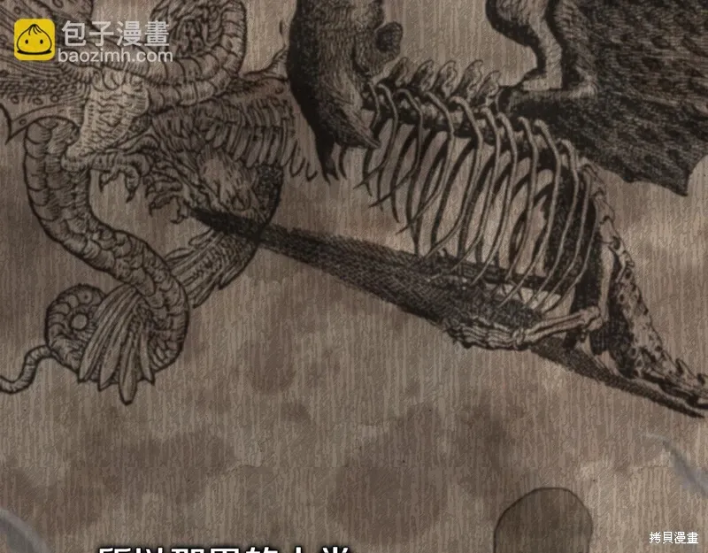 第237页