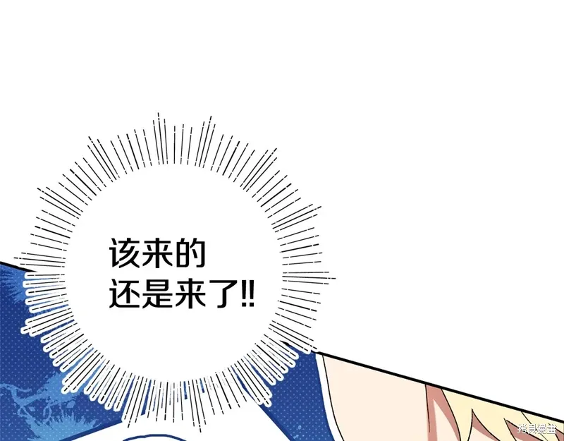 第339页