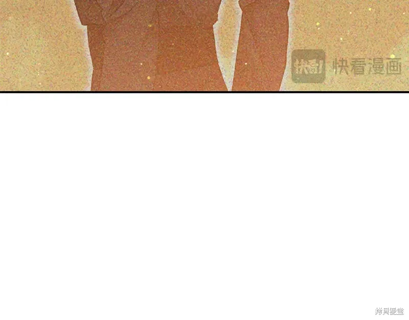 第528页