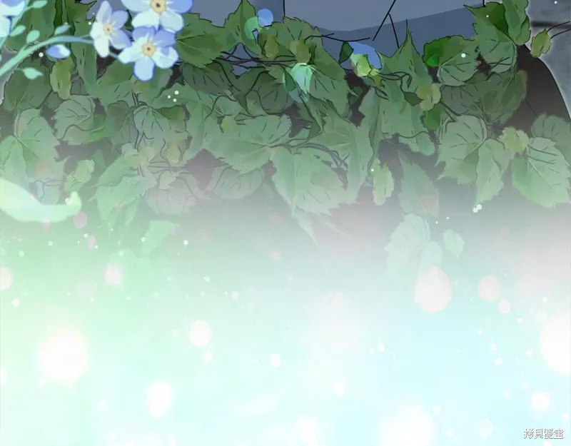 第315页