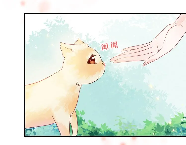 第300页