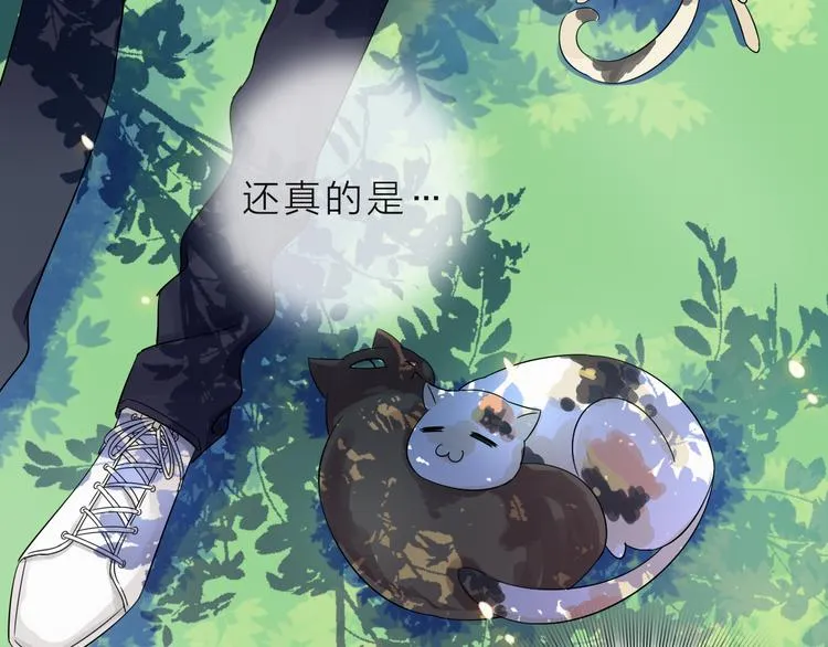 第282页