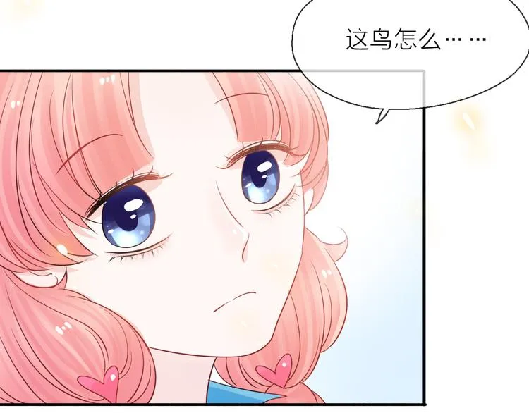 第204页