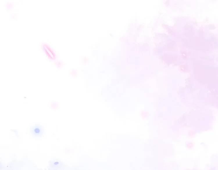 第372页