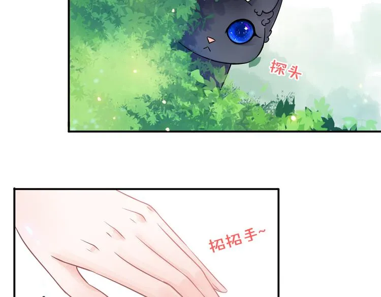 第237页