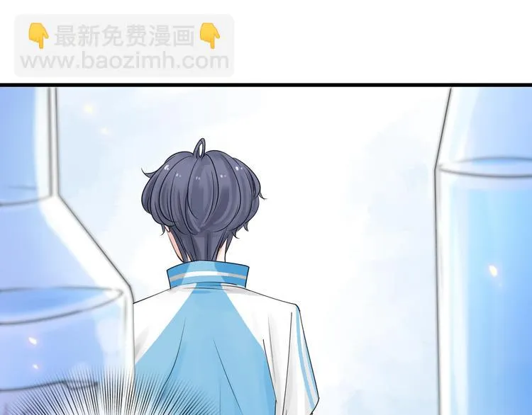 第528页