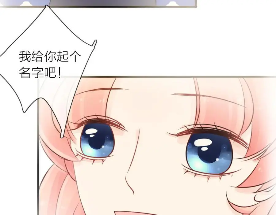 第411页
