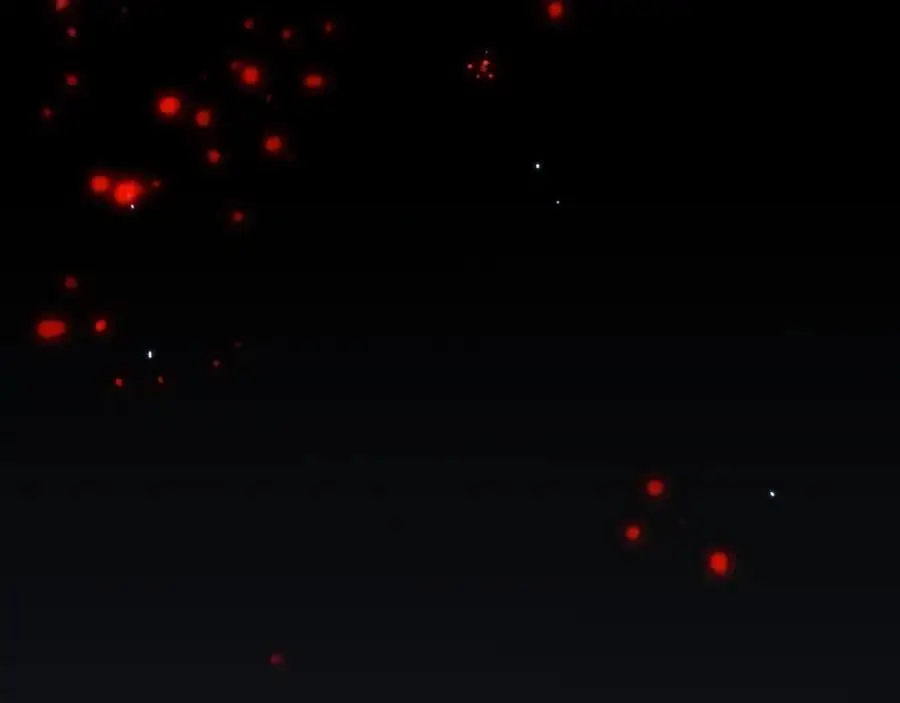 第351页