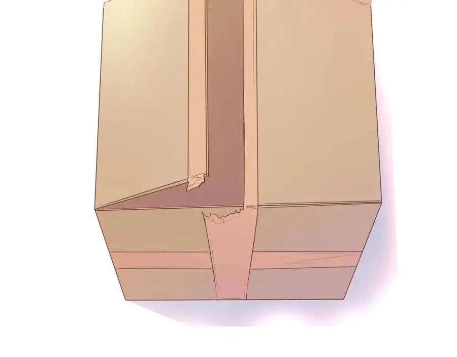 第231页