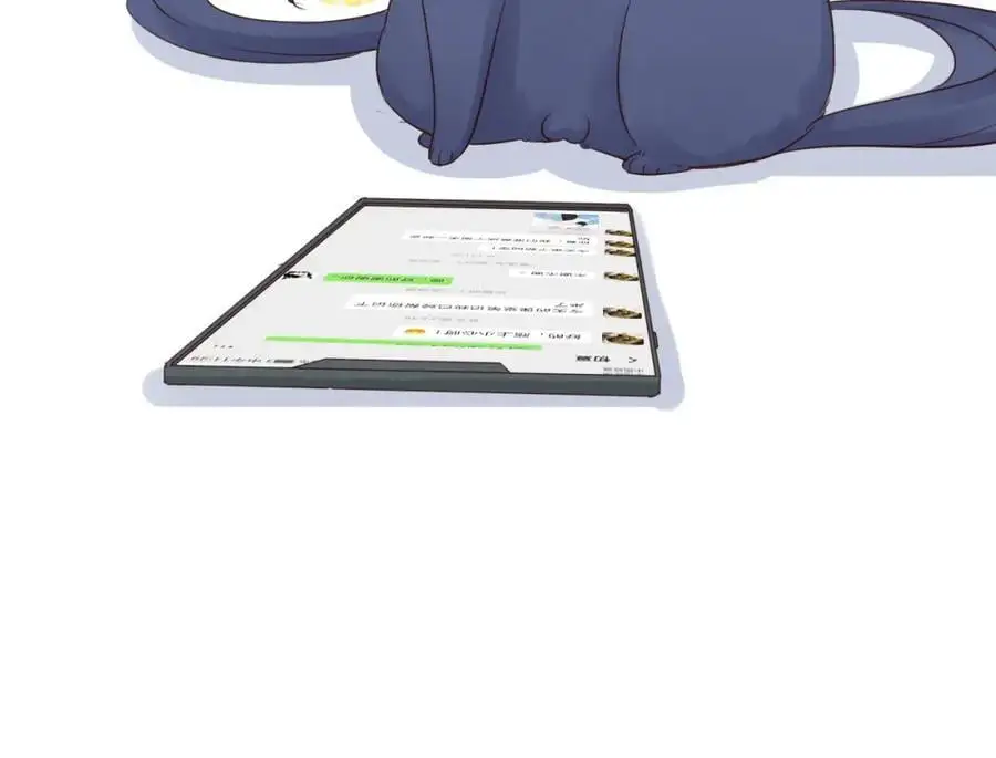 第339页
