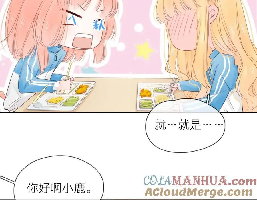 第204页