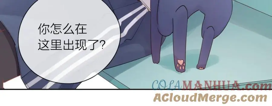 第312页