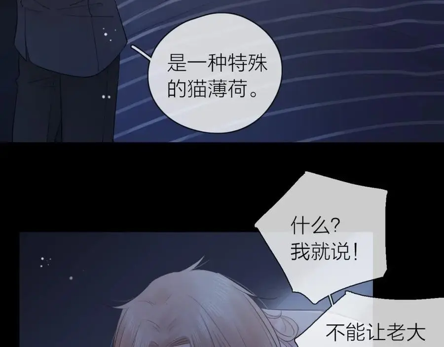第246页