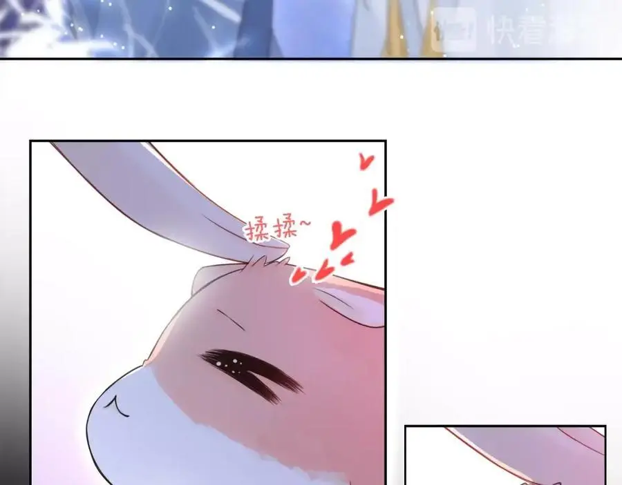 第234页