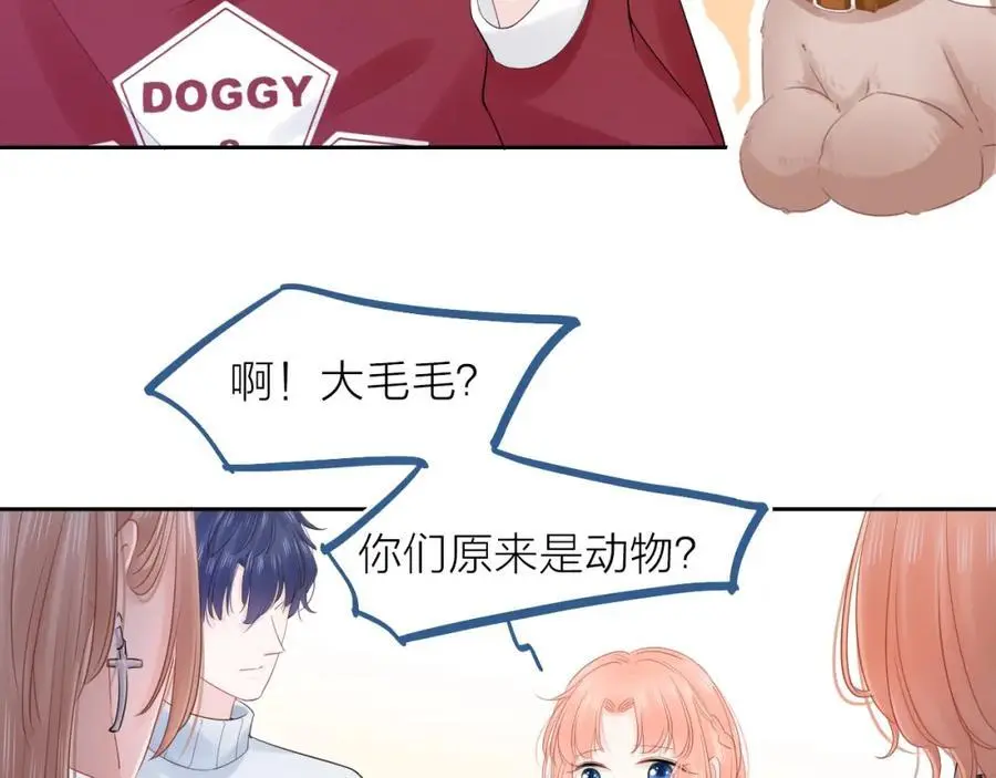 第219页