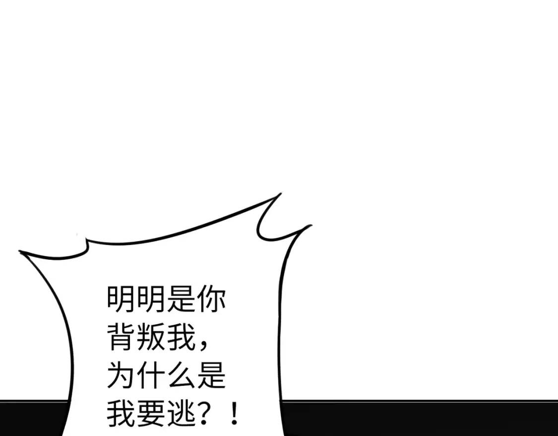 第231页