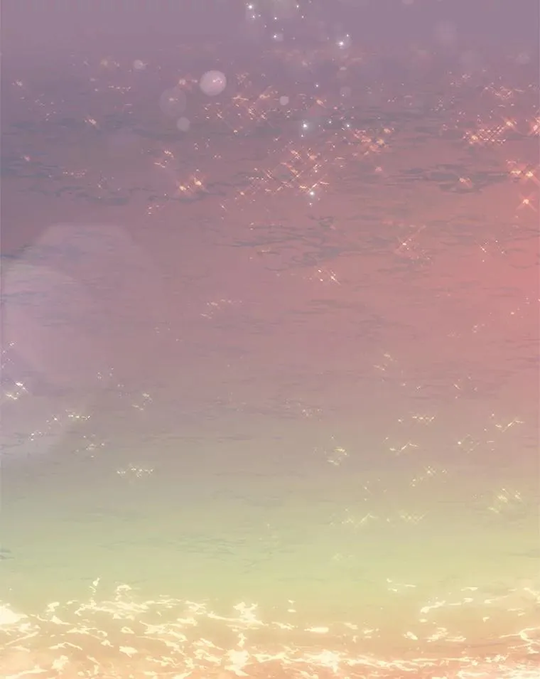 第291页