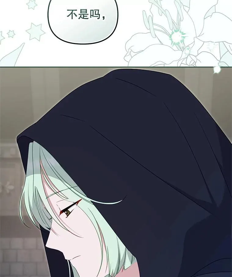 第237页