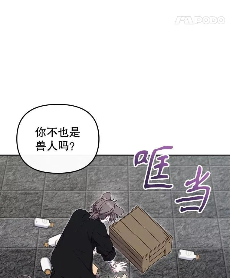 第261页