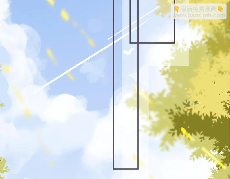 第219页