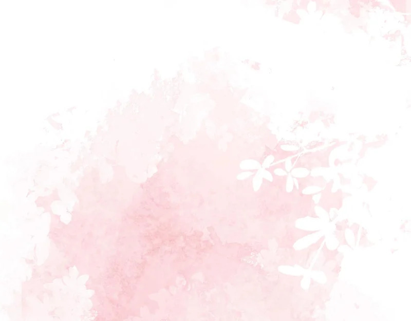 第234页