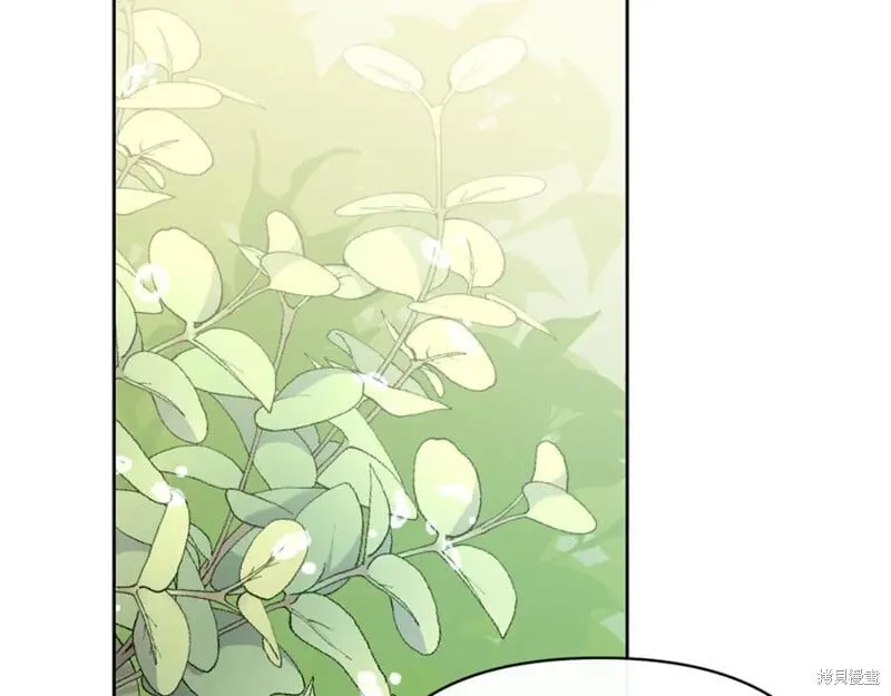 第495页