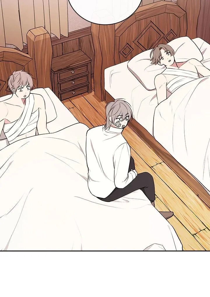 第231页
