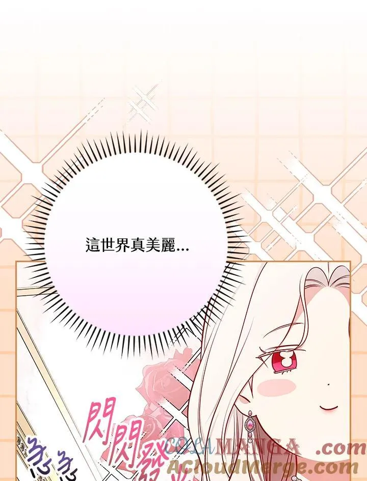 第240页