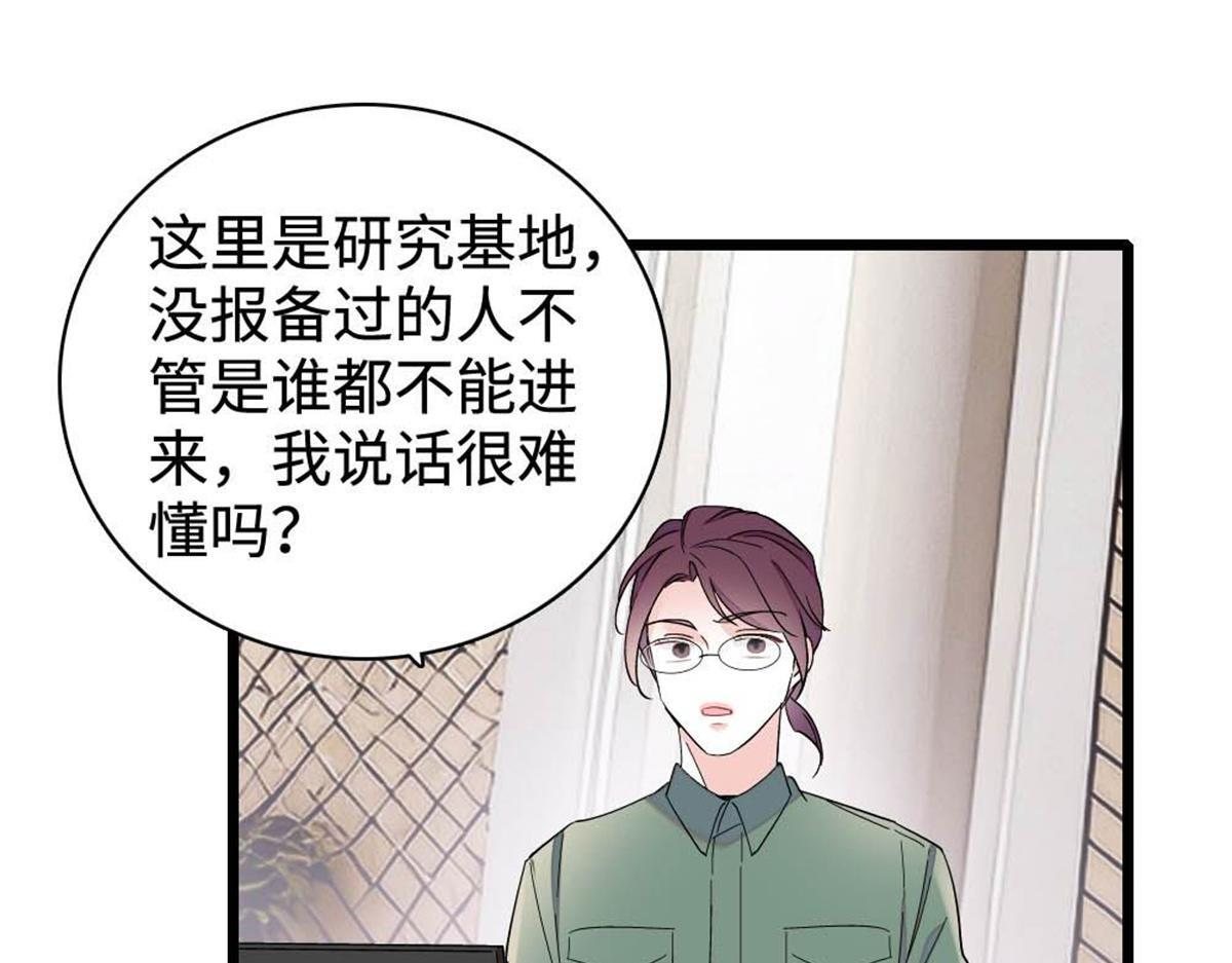 第204页