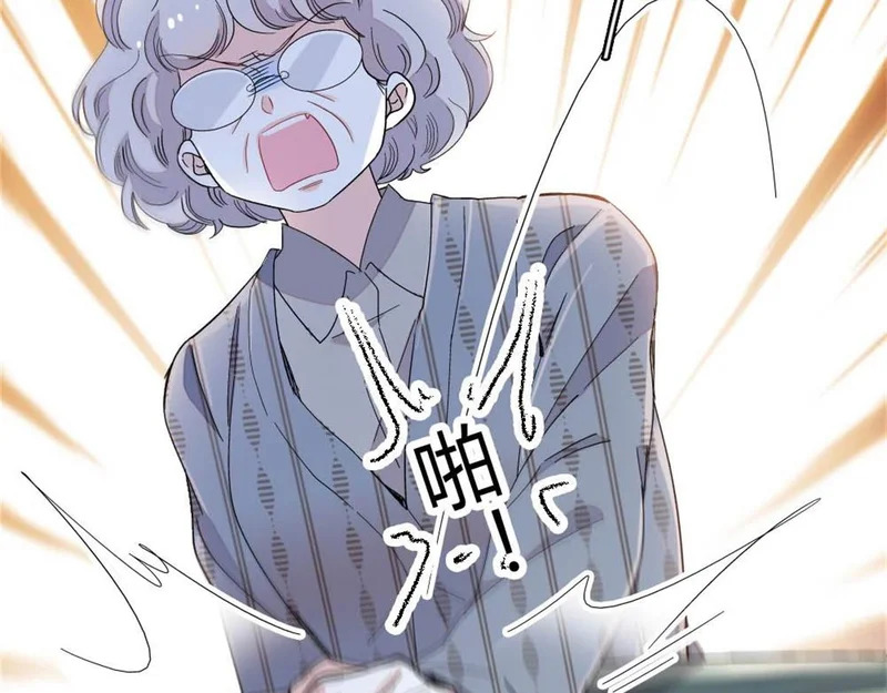 第231页