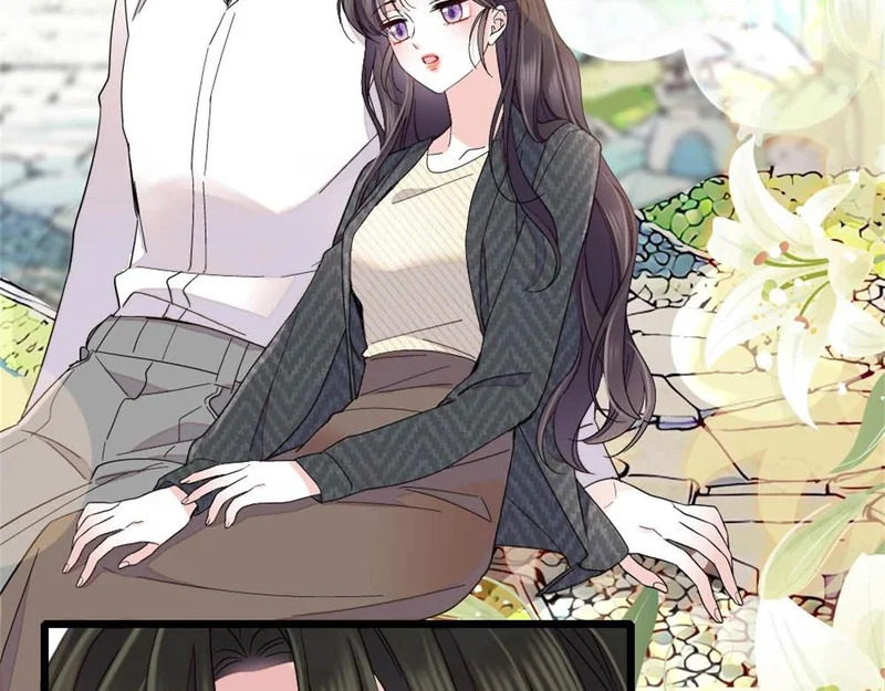 第231页