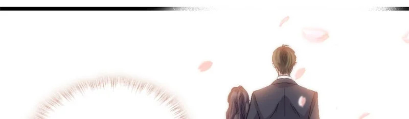 第255页
