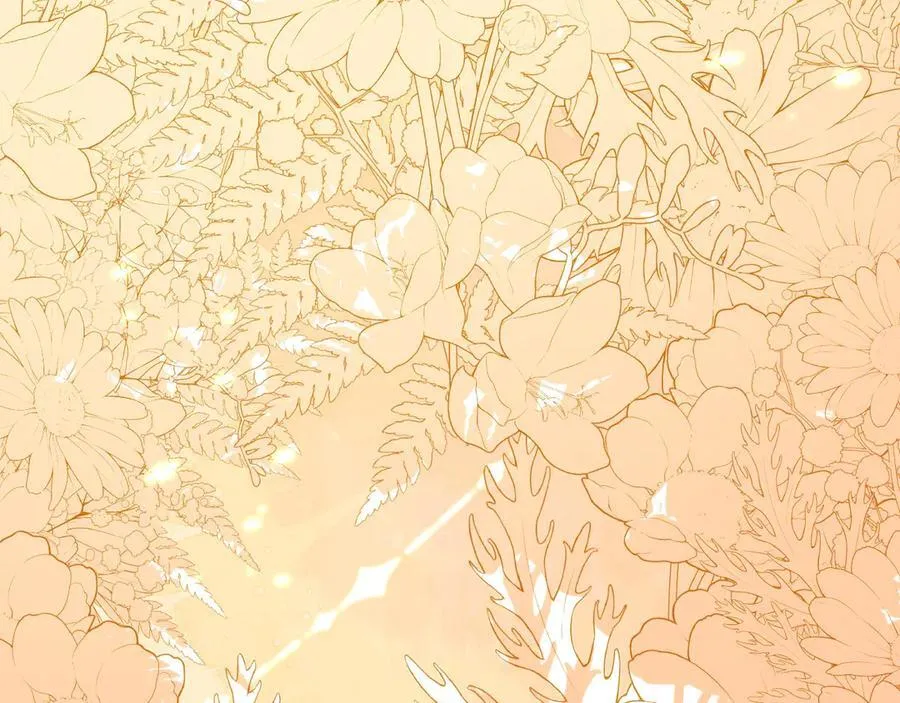 第243页