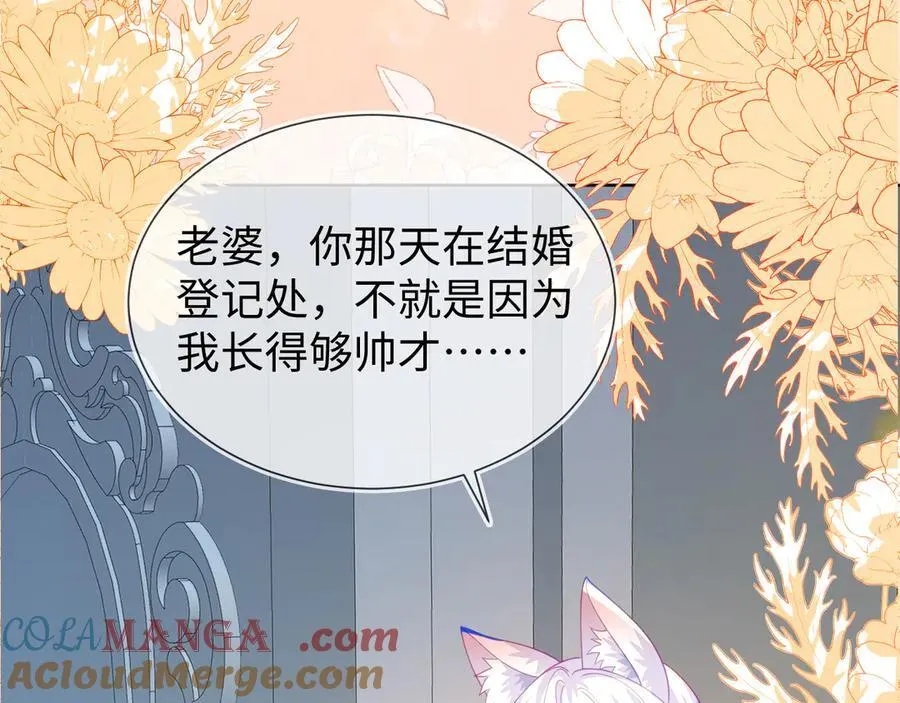 第240页