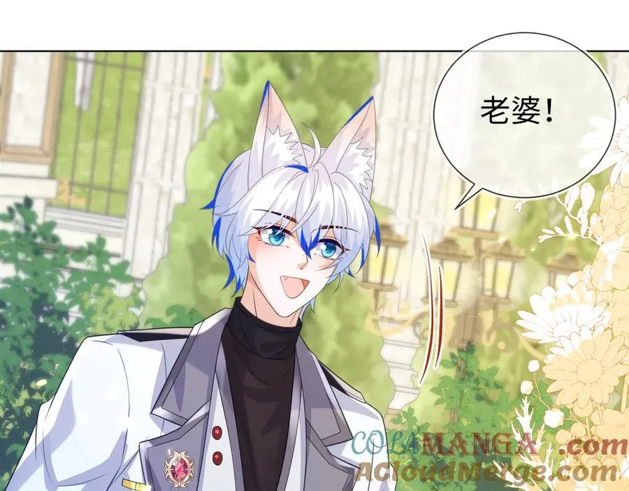 第252页