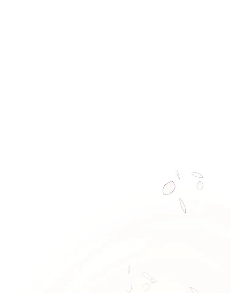 第447页
